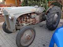 Ciągnik rolniczy Massey Ferguson TEA 20 38 KM 1950 rok ANTYK