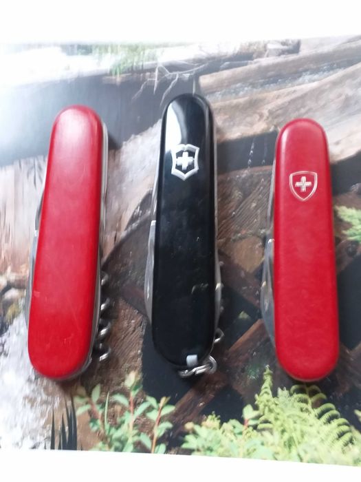 canivetes victorinox (lote)