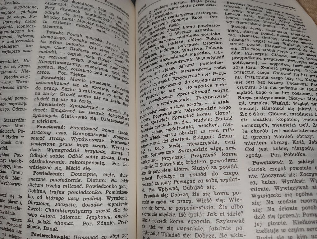 Słownik wyrazów bliskoznacznych