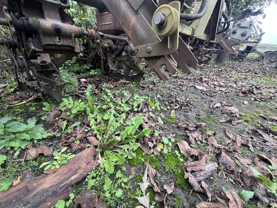 Сівалка кукурудзяна