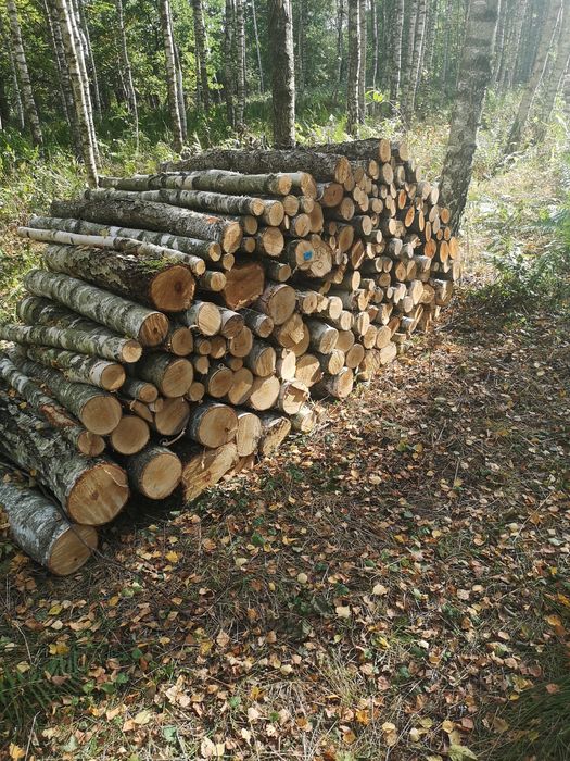 Drewno   (opał, drewno kominkowe, świerk, brzoza,mieszane)