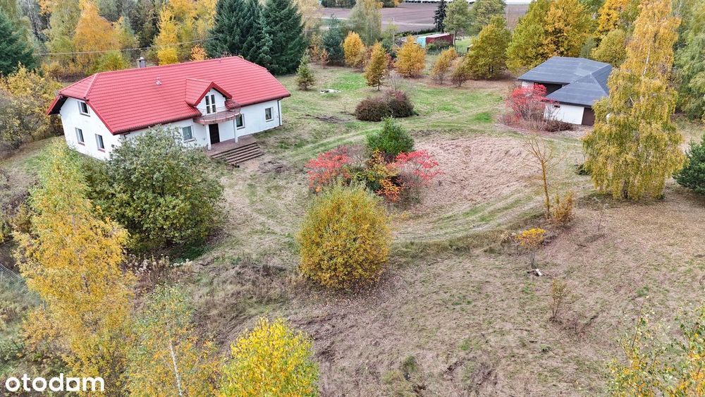 Dom w sercu natury – cisza, przestrzeń i własny staw