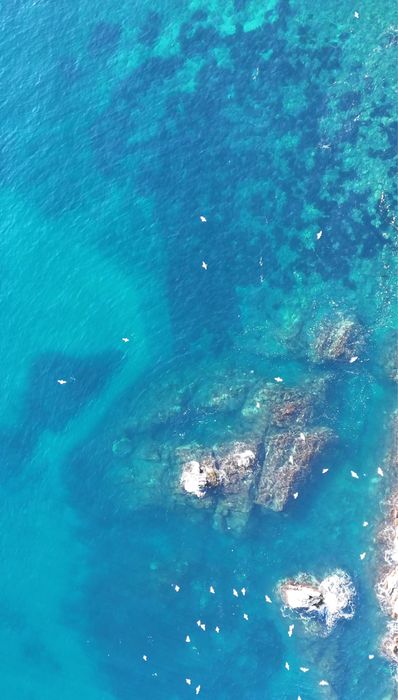 От владельца! Участок с проектом на берегу моря. Барселона. Испания.