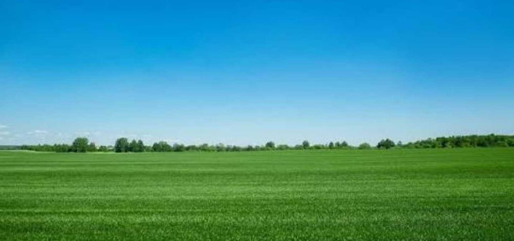 Земельну ділянку с/х пай