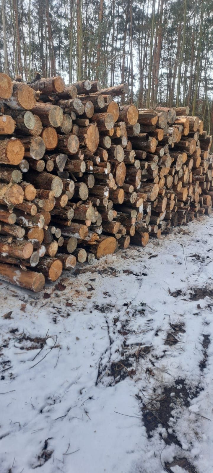 Drewno sosnowe opał bez dziabania