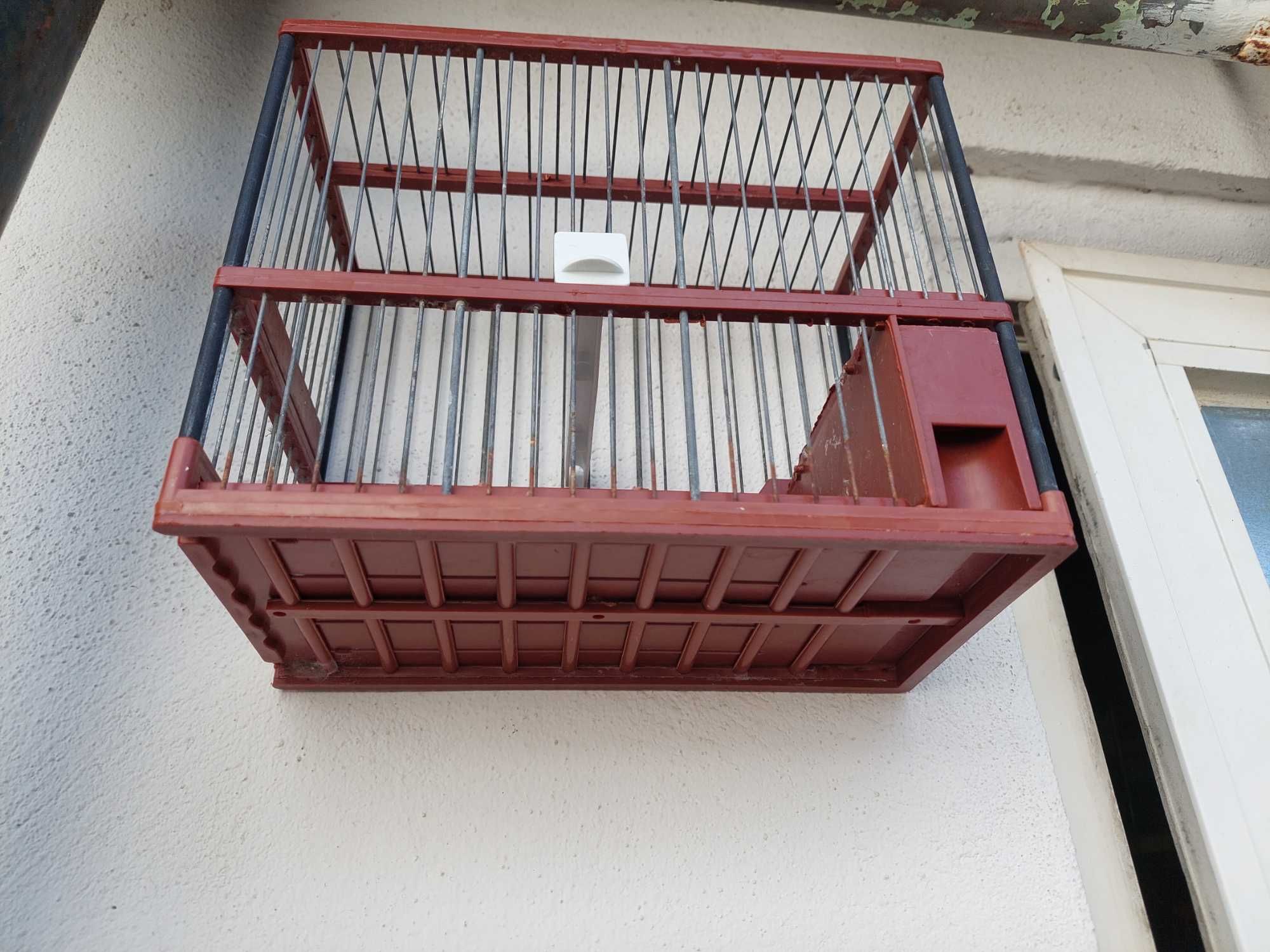 Gaiola de canto para um bom treino