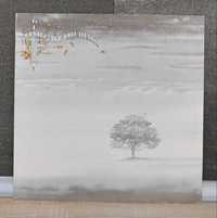 Genesis - Wind And Wuthering. 1977r EX . Germany. Płyta winylowa.