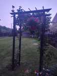 Pergola metalowa pod róże