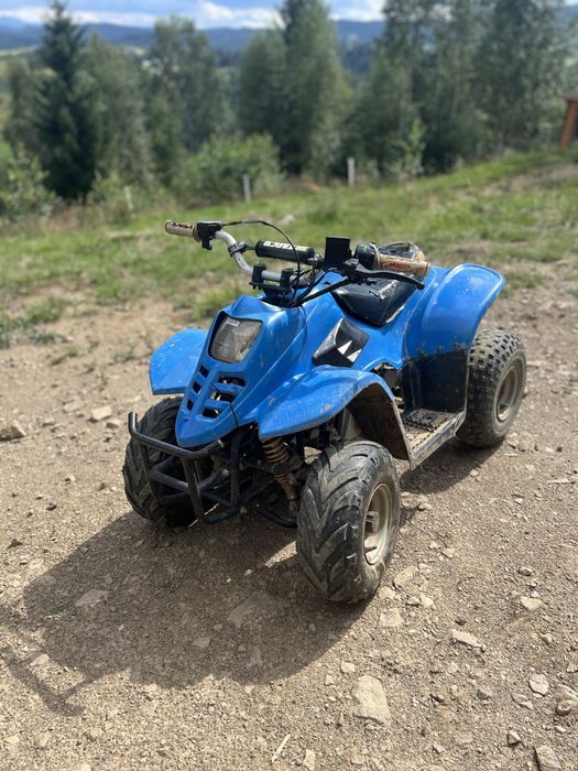 Квадроцикл viper 110
