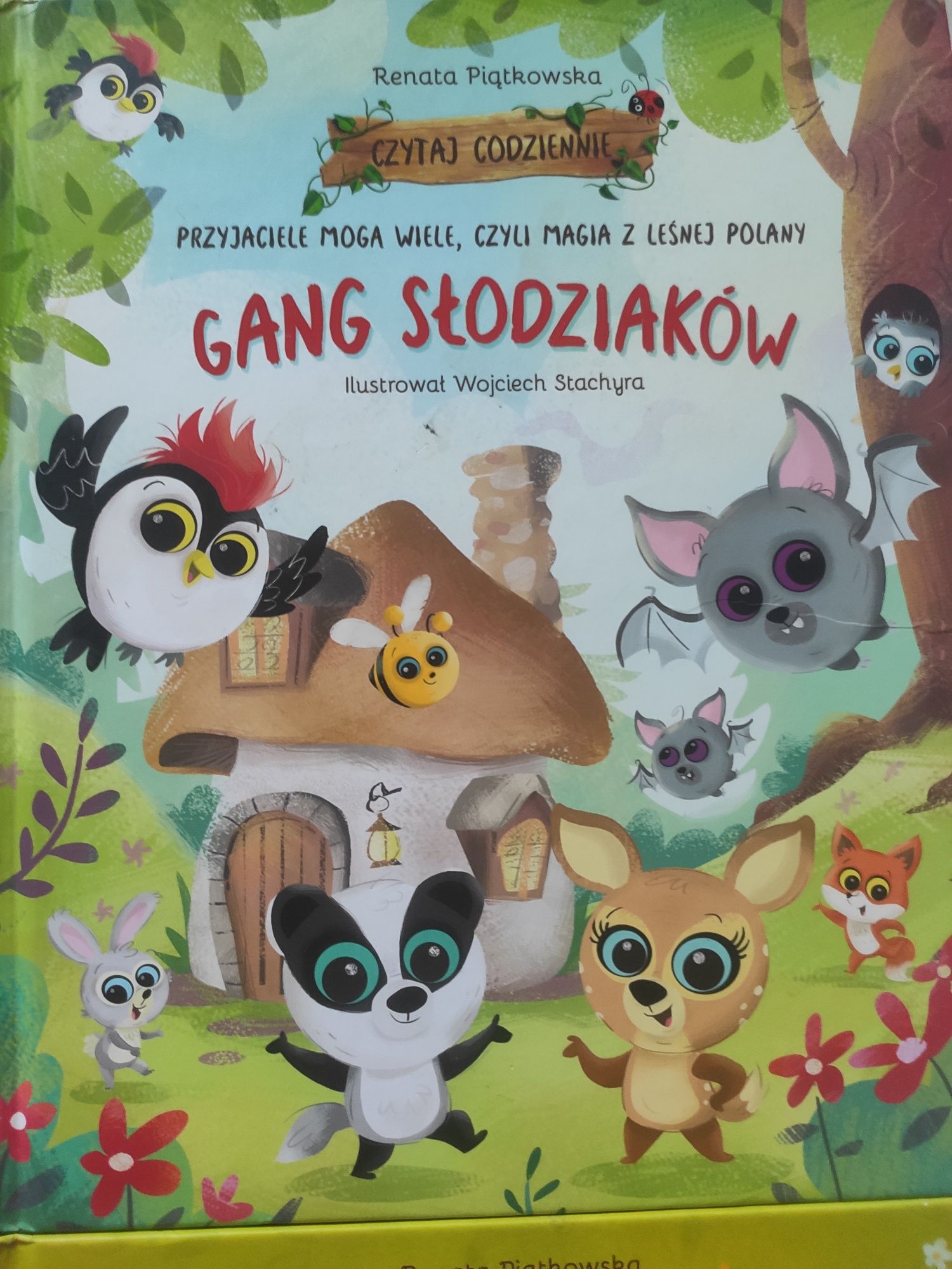 Gang Słodziaków, Gang Fajniaków zestaw książek Biedronka