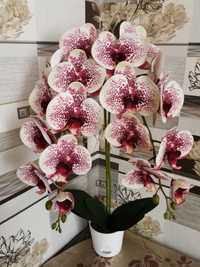 Орхідеї Латексні