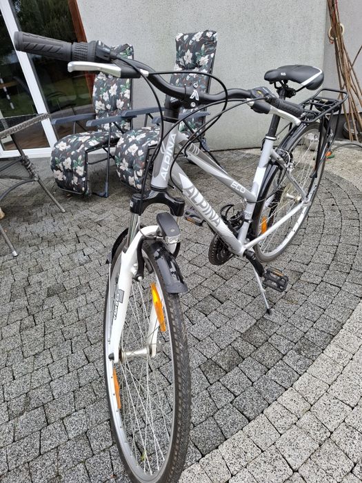 Rower Alpina eco