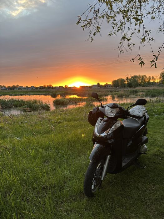 Honda sh 300i malossi