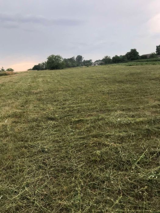 Продається Велика Сонячна Земельна Ділянка (Пів Гектара) під Житлову