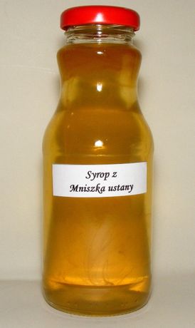 Syrop z mniszka lekarskiego ustany (zasypywany)- mniszek, mlecz