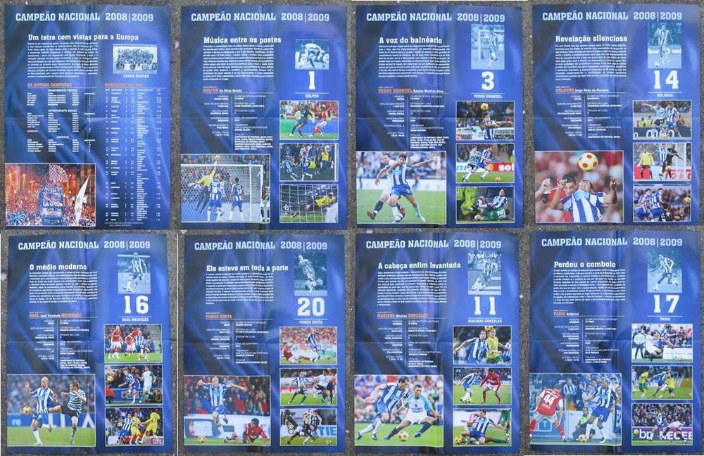 25 Posters FC Porto campeão nacional 2008/9