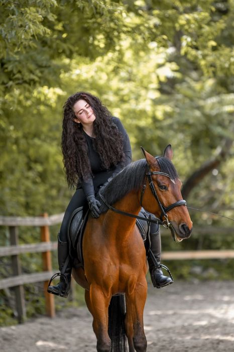 Аренда лошади для фотосессий Днепр