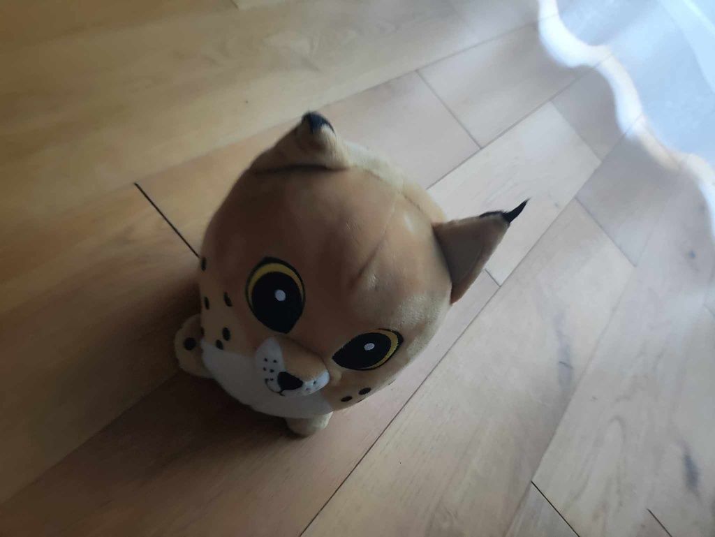 Maskotka stara tygrysek