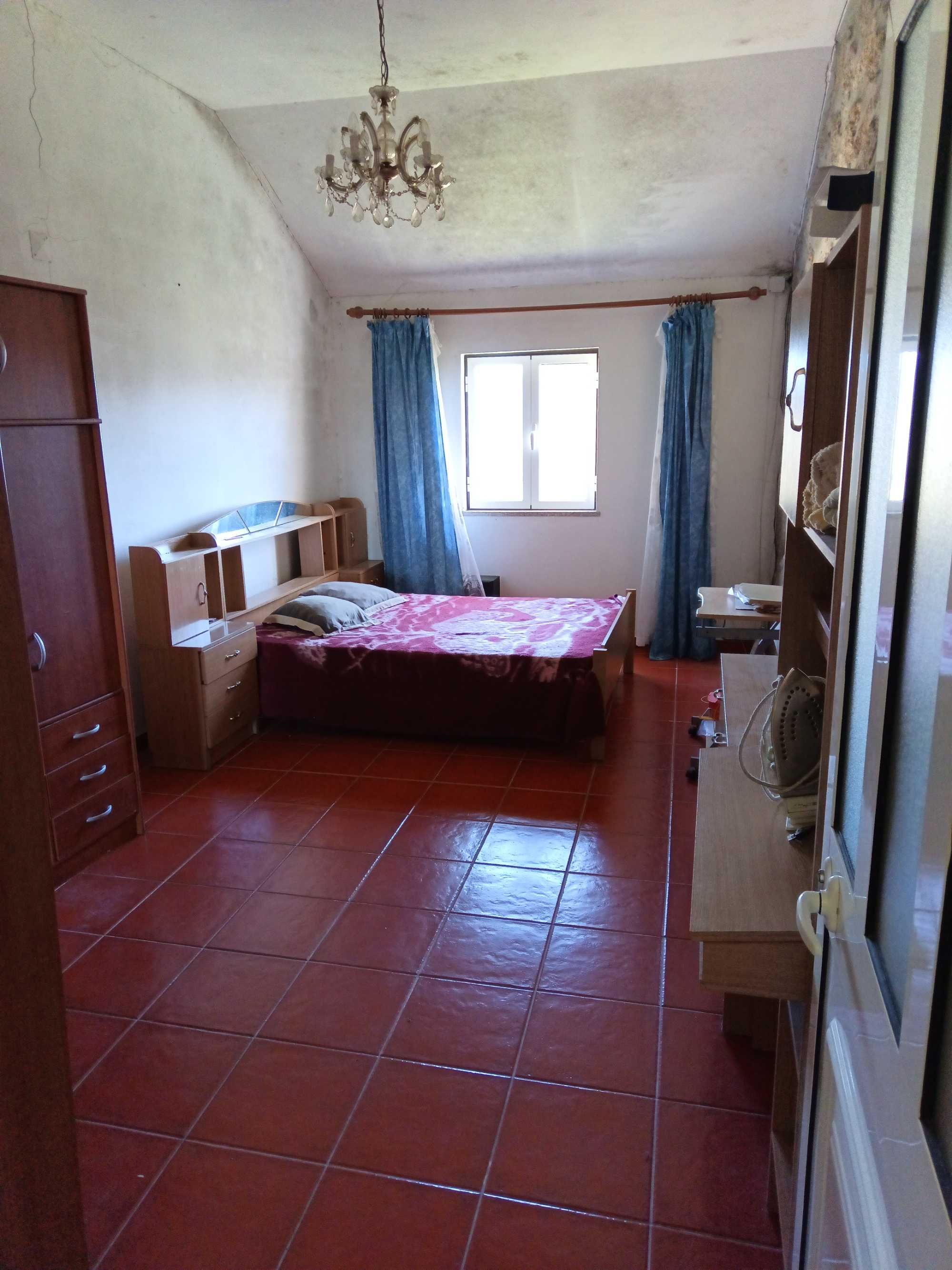 Quinta com casa, terrenos e pinhais