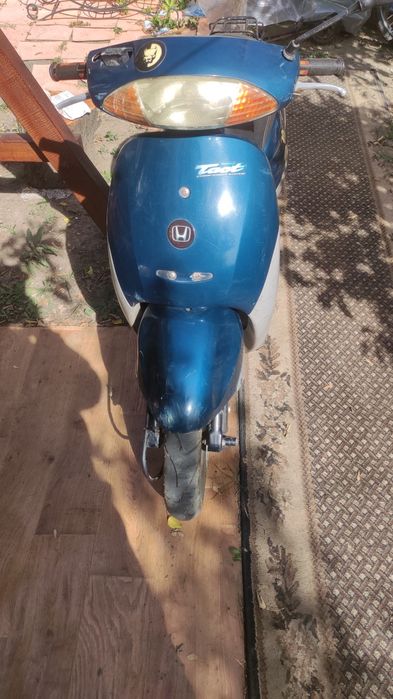 Honda tact af 51