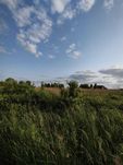 Земельна ділянка 10 соток, с. Поршна, с/г призначення