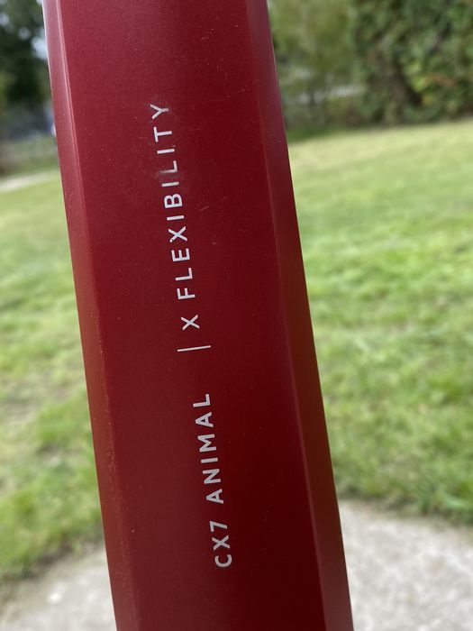 Odkurzacz bezprzewodowy AEG CX-7 Animal