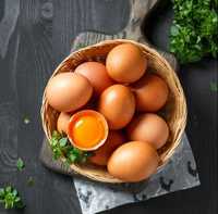 Продаются домашние (полезные, без ГМО) куриные яйца