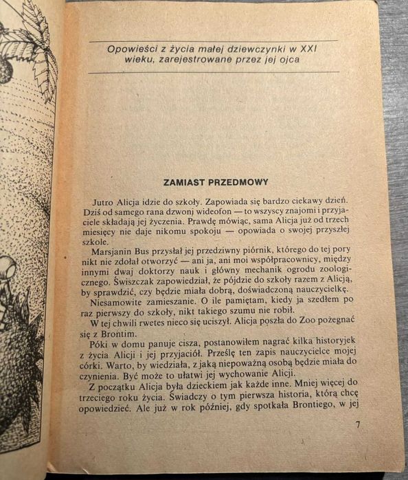 Dziewczynka z przyszłości