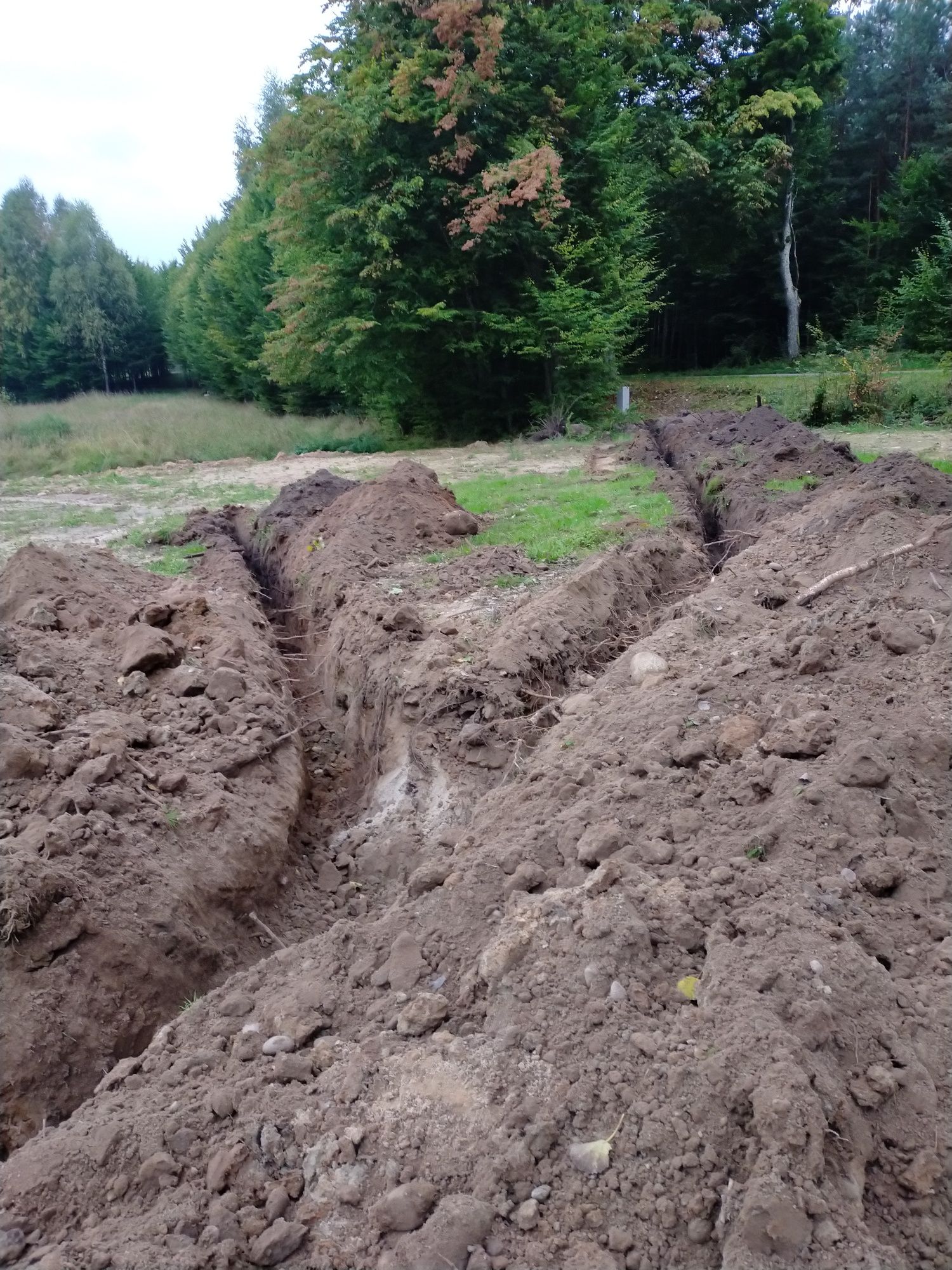 Usługi koparko-ładowarką i wywrotką Gietrzwałd Olsztynek Stawiguda i o