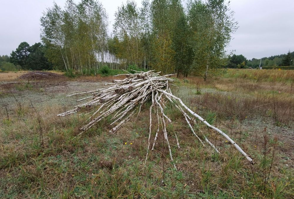 Sprzedam drewno, opałówka brzozowa.