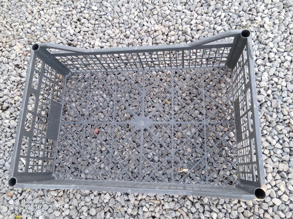 Skrzynki kapusta kalafior 40x60