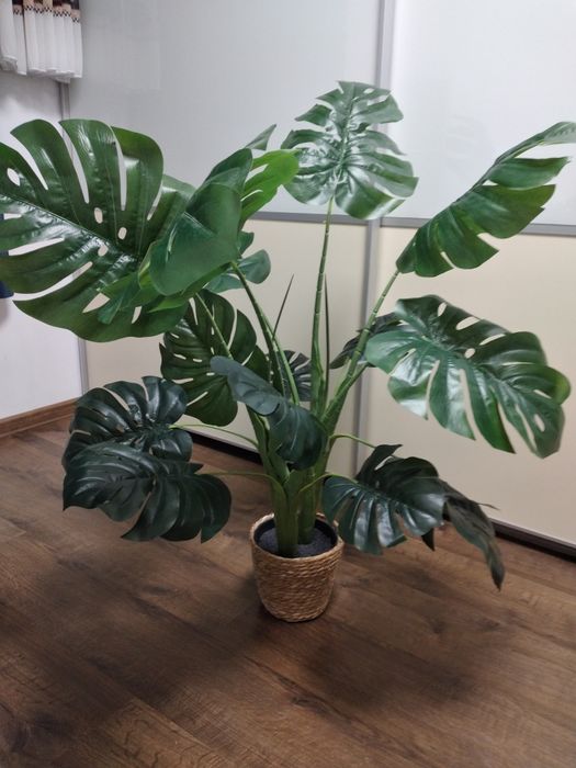 Monstera sztuczna