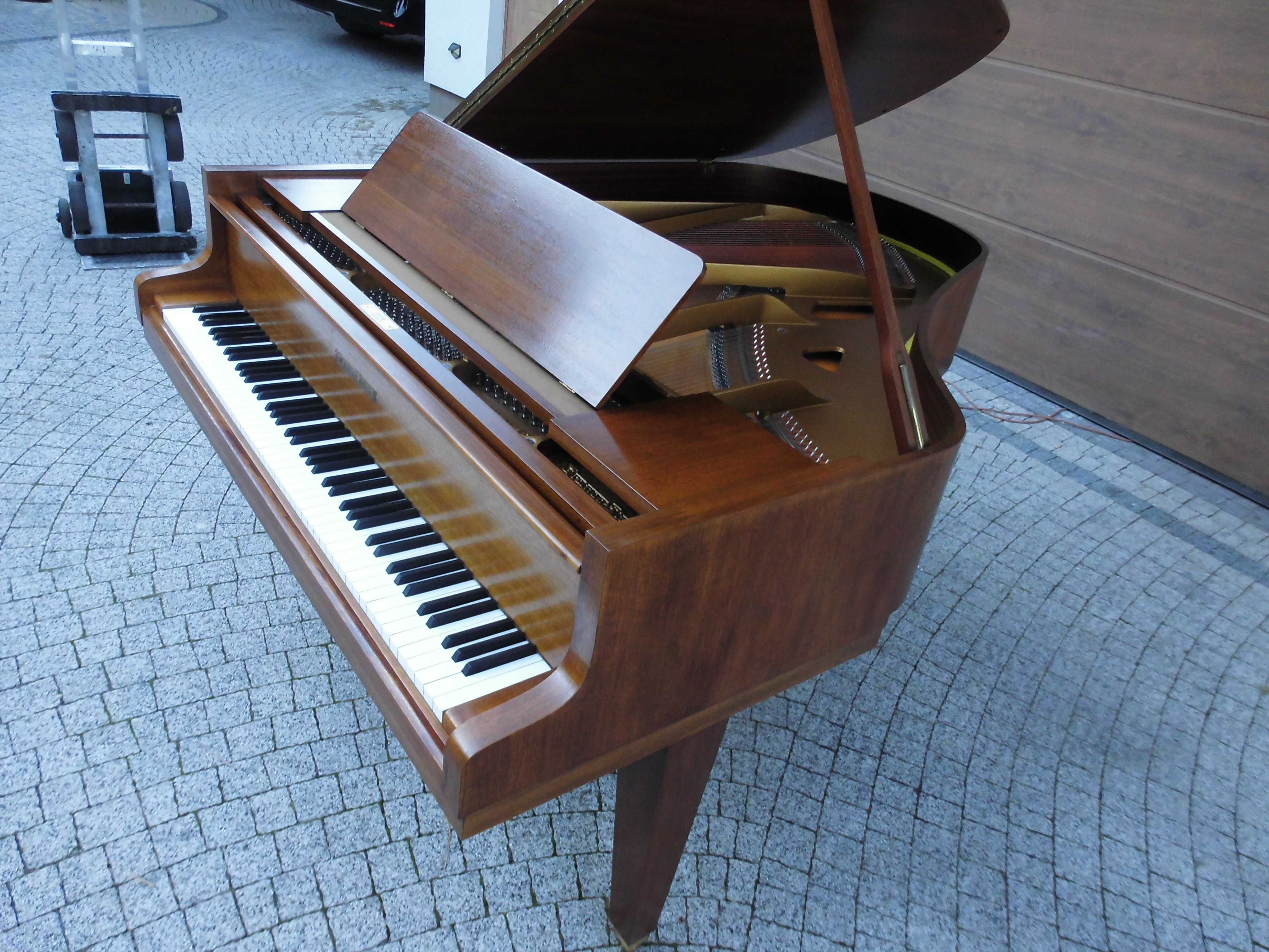 Grotrian Steinweg M185 renner Fortepian dla konesera Germany