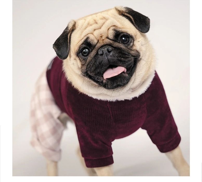 Костюм для собаки Pet Fashion S