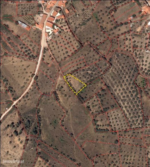 Terreno Rústico no Lameirão em Malpica do Tejo, Castelo Branco