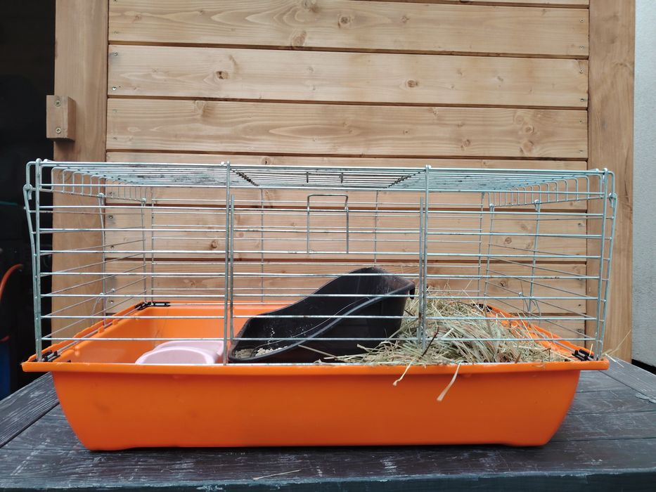 Klatka dla gryzoni DUŻA + gratis