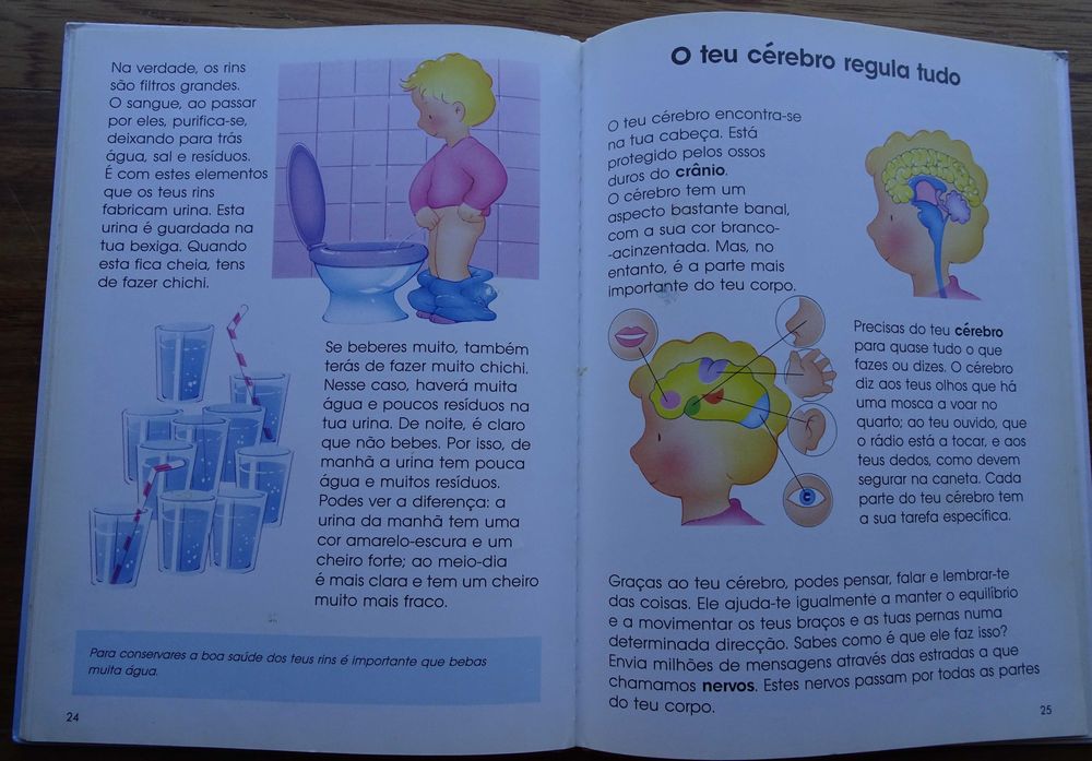 O Meu Corpo Por Dentro e Por Fora (Dos 5 a 9 Anos)