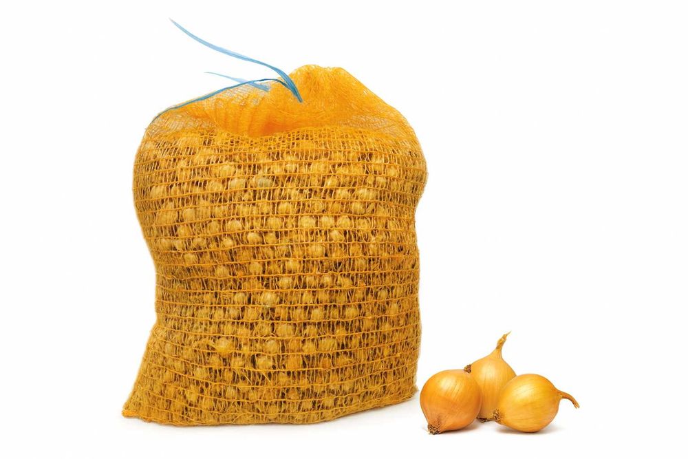 Cebula dymka zimowa Senshyu Yellow 5-20mm 10 kg Piasecki