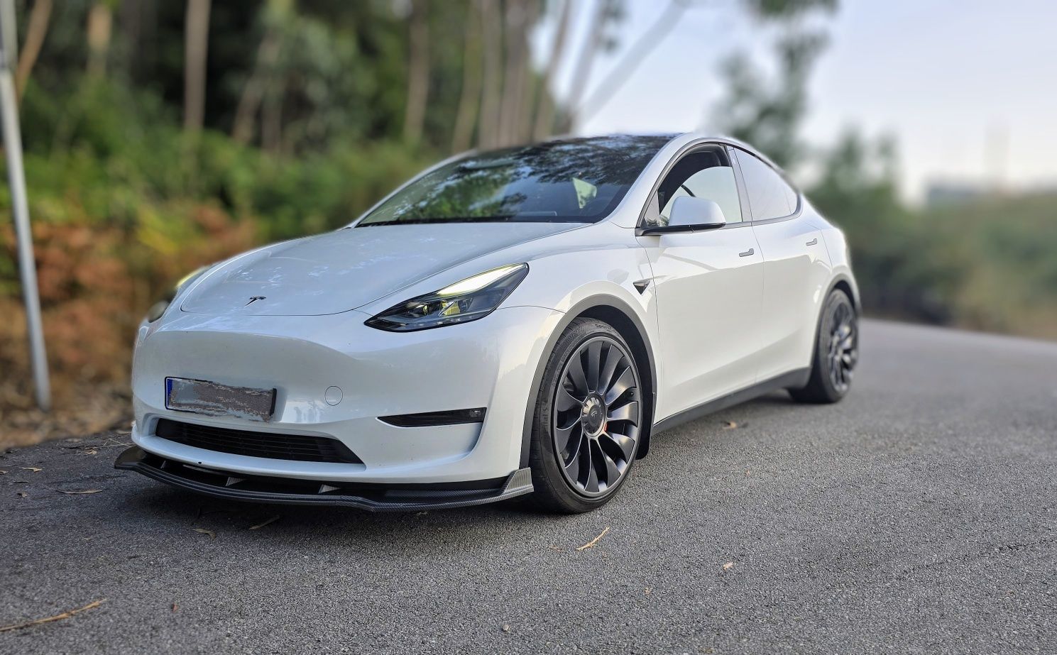 TESLA Model Y Long Range Performance  534cvs AWD
