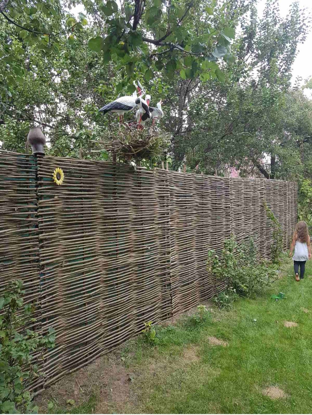 Плетений паркан,заборчик із лози Український тин