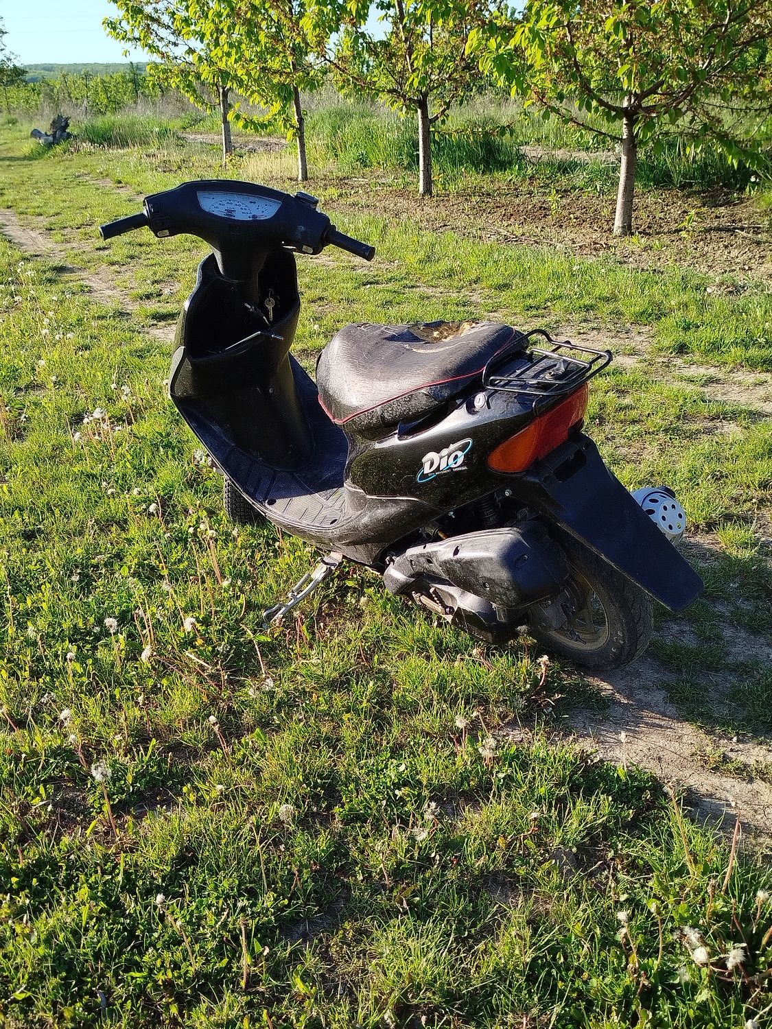 Honda  dio  35zx