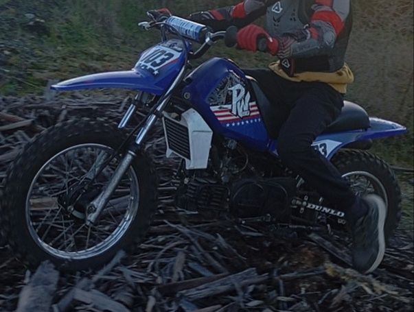 Yamaha   Pw   80