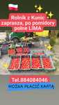 Pomidory lima polne na przeciery suszenia soki ogórki pasaty gruntowe