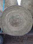Sprzedam siano 150x120