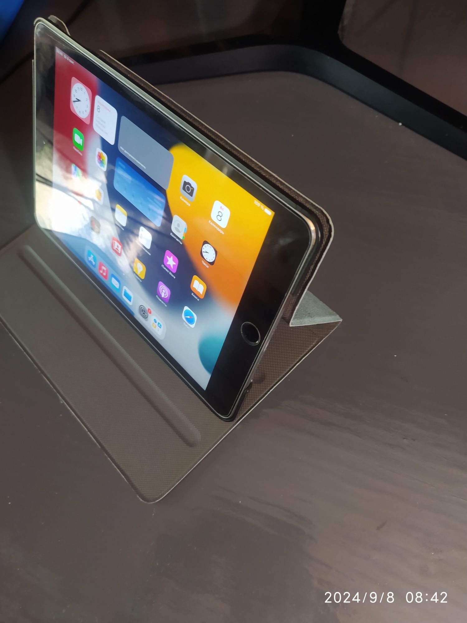 Ipad mini 4-го поколения