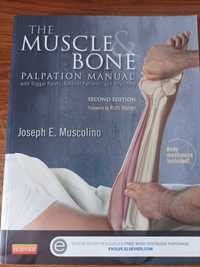 The Muscle Bone - Palpation Manual - Joseph E. Muscolino