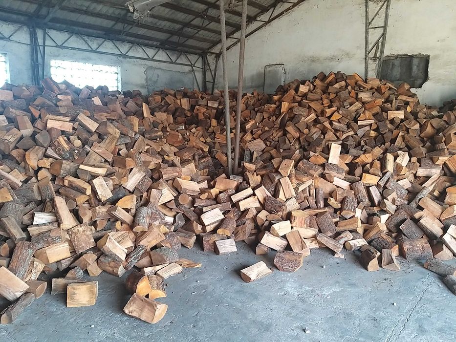 5.0.1.0.2.6.1.4.9 Drewno, drzewo kominkowe, opałowe