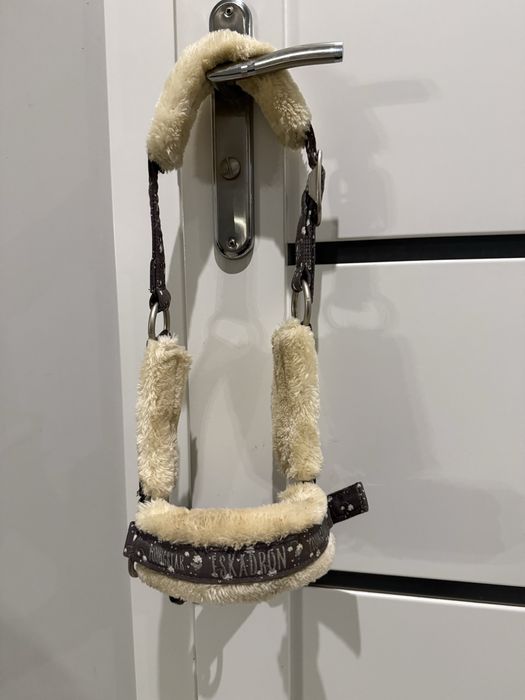 Kantar Eskadron Young Star