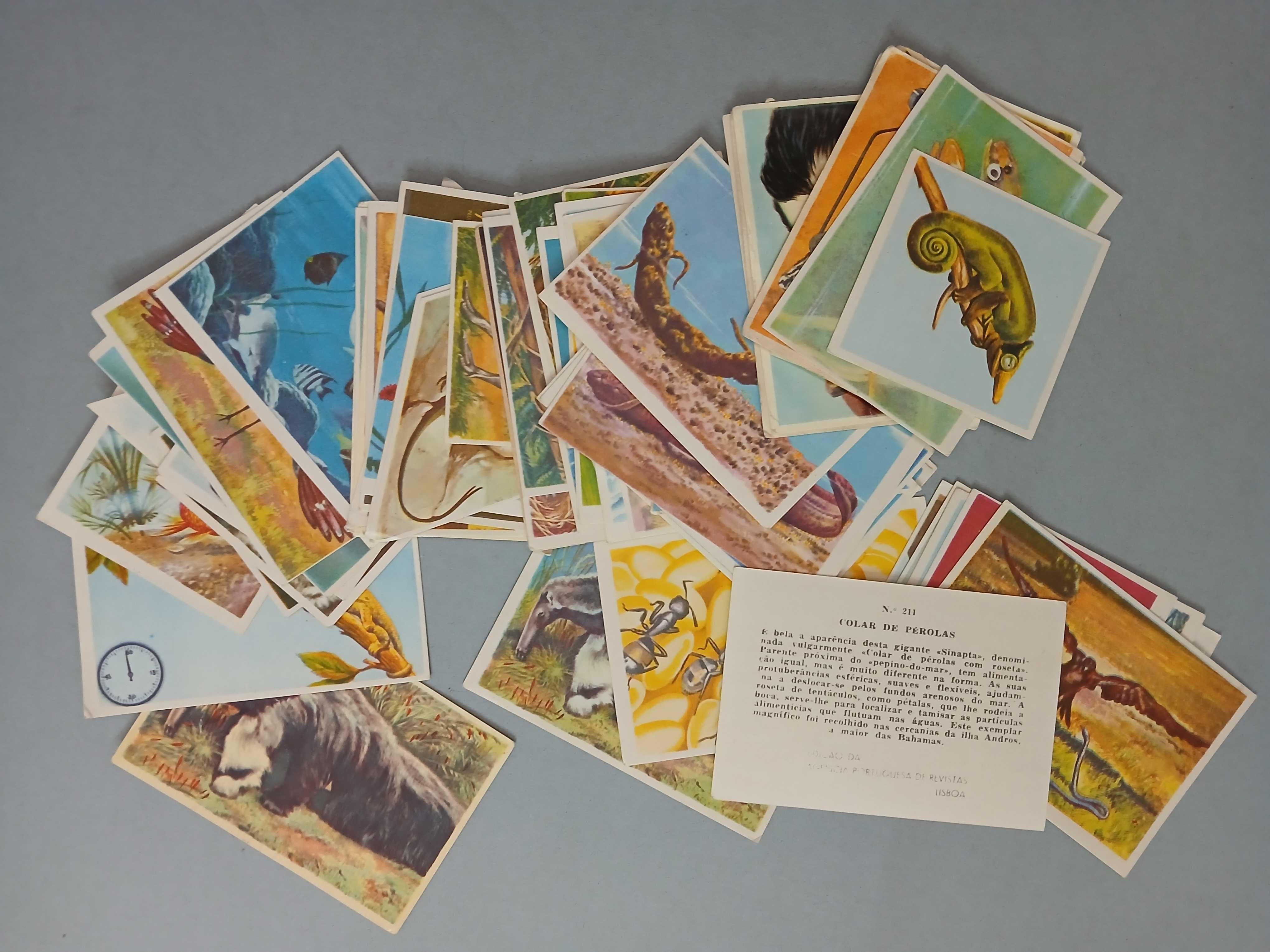 cromos de cadernetas diversos