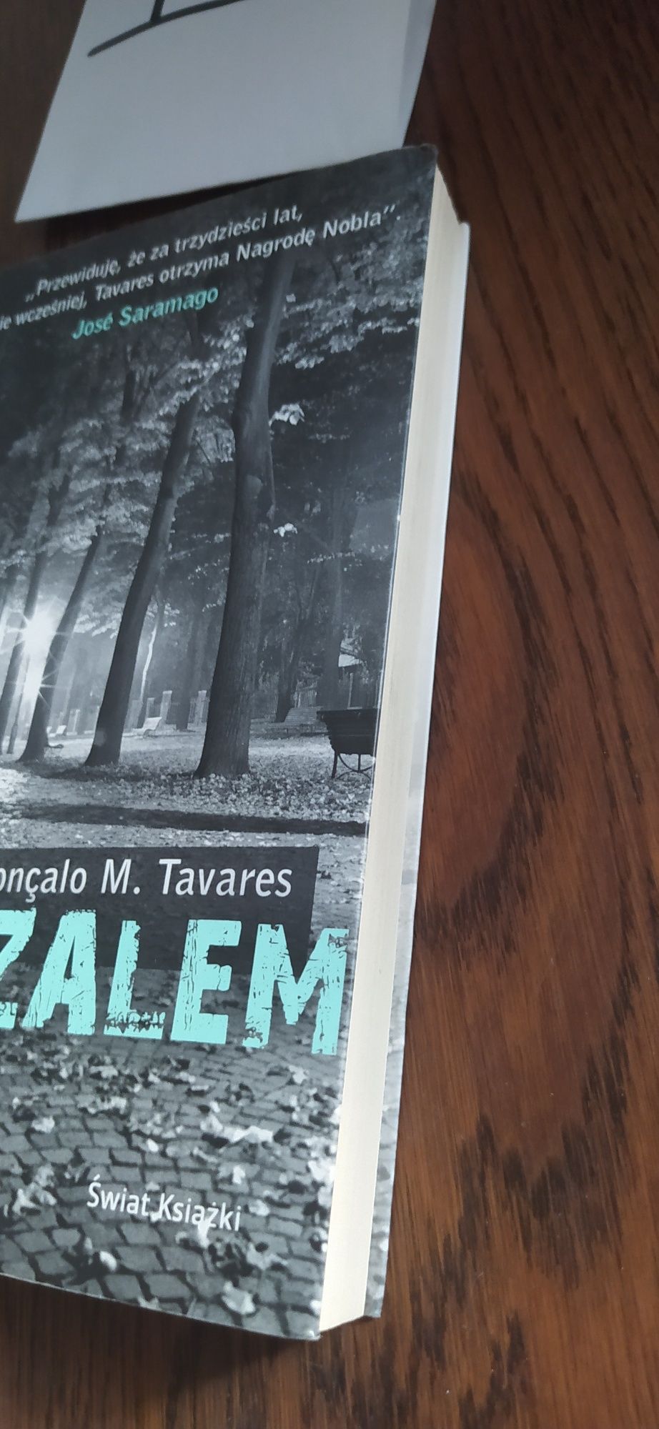 Jeruzalem Goncalo M. Tavares